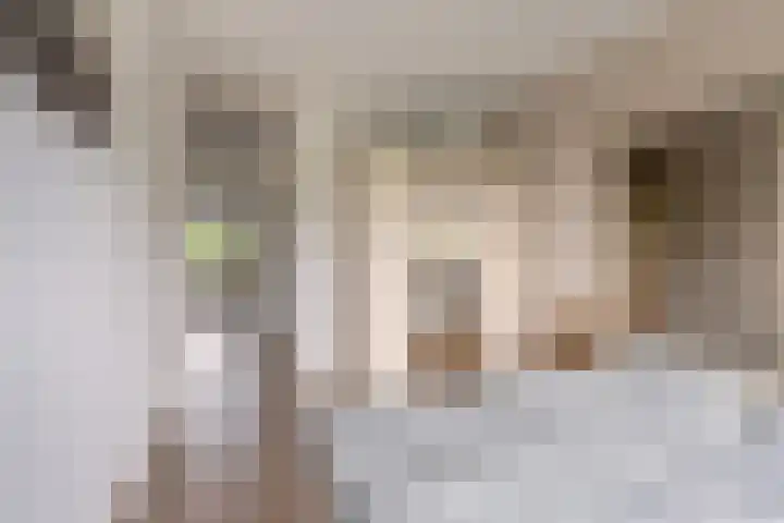 Lepelaarsingel 142 Vlaardingen thumbnail 32