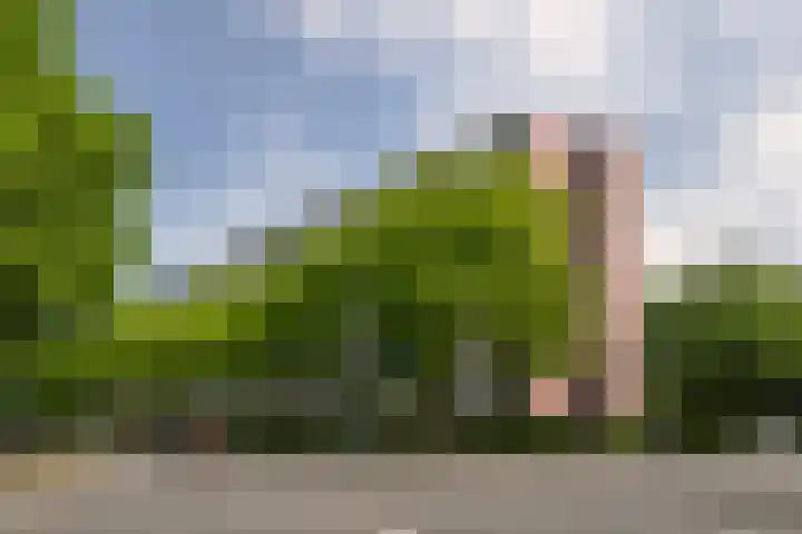 Lepelaarsingel 142 Vlaardingen thumbnail 9