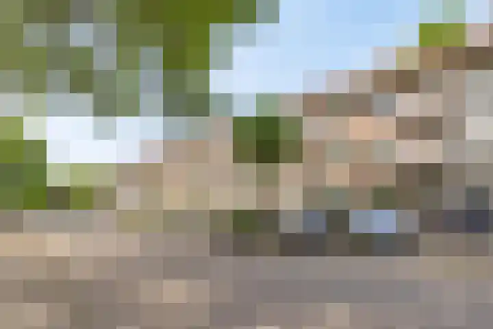 Lepelaarsingel 143 B Rotterdam thumbnail 29