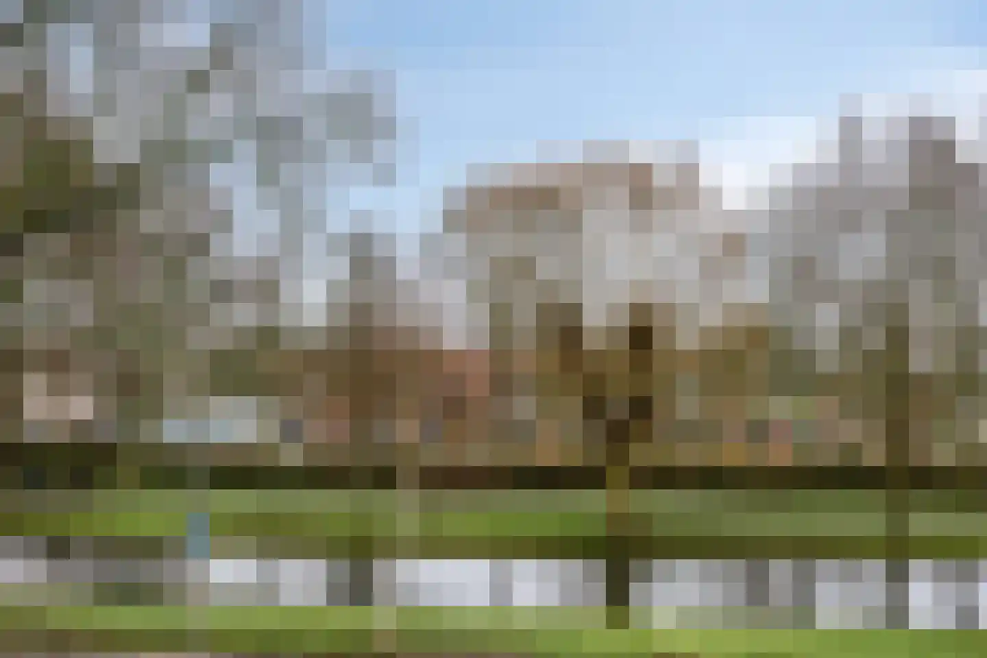 Lepelaarsingel 147 A Rotterdam thumbnail 16