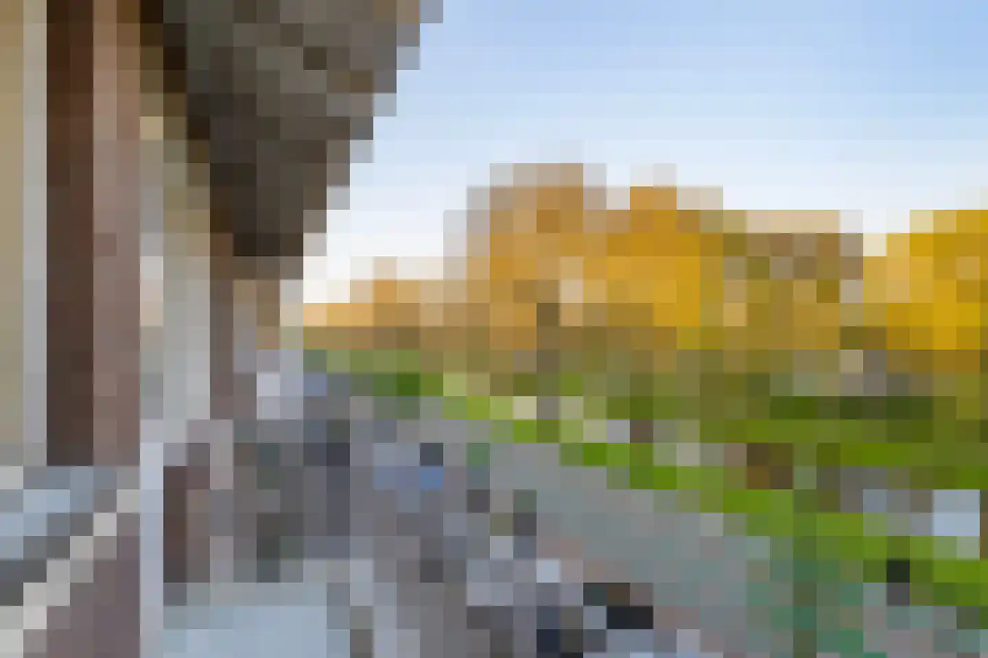 Lepelaarsingel 151 B Rotterdam thumbnail 11