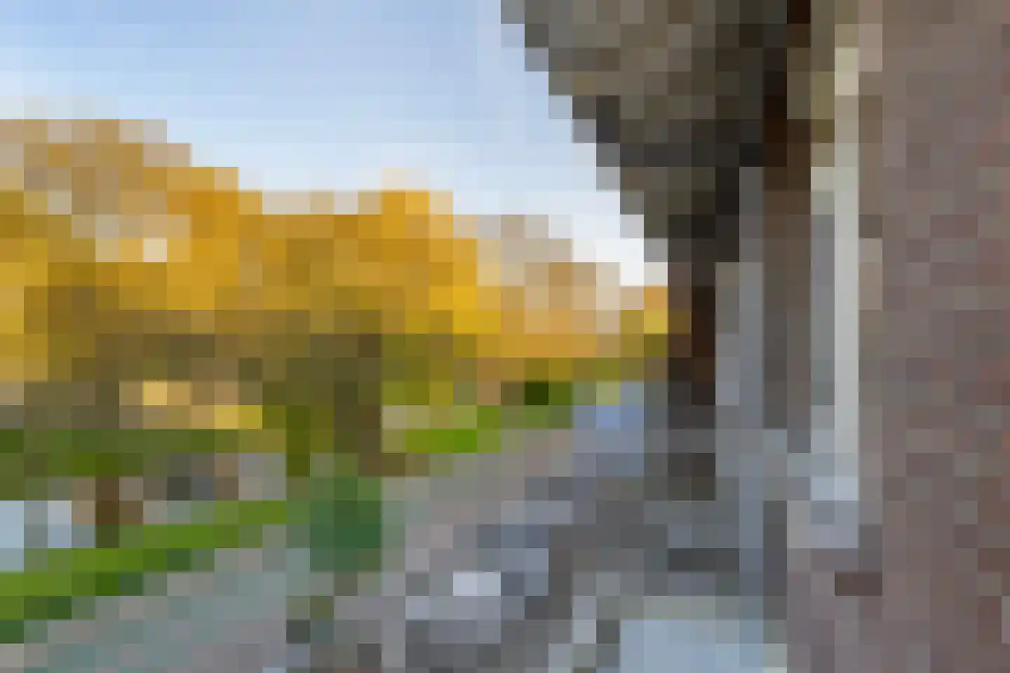 Lepelaarsingel 151 B Rotterdam thumbnail 12