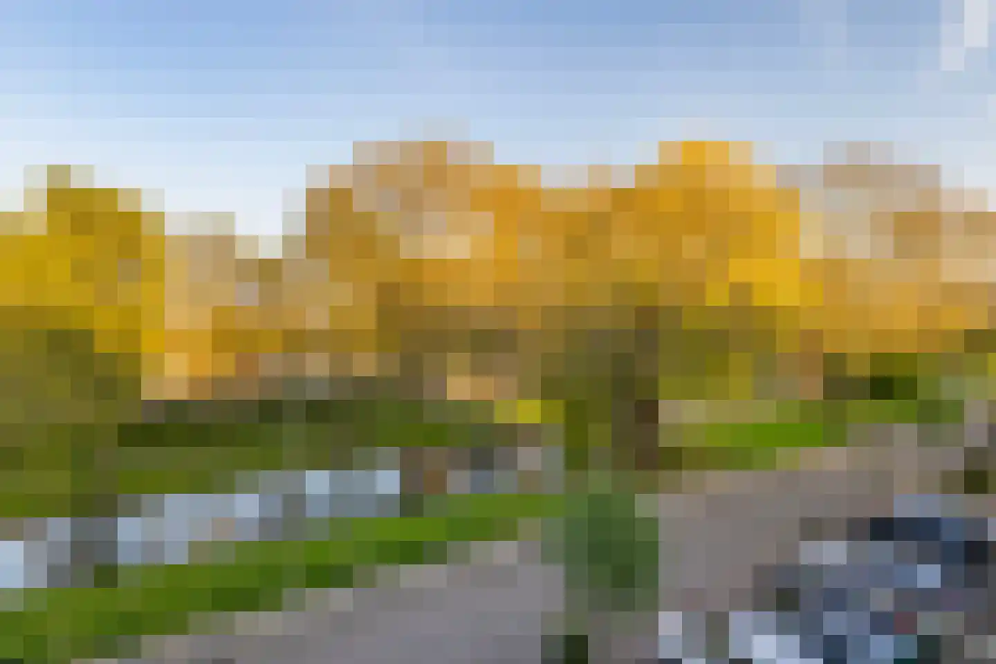 Lepelaarsingel 151 B Rotterdam thumbnail 14