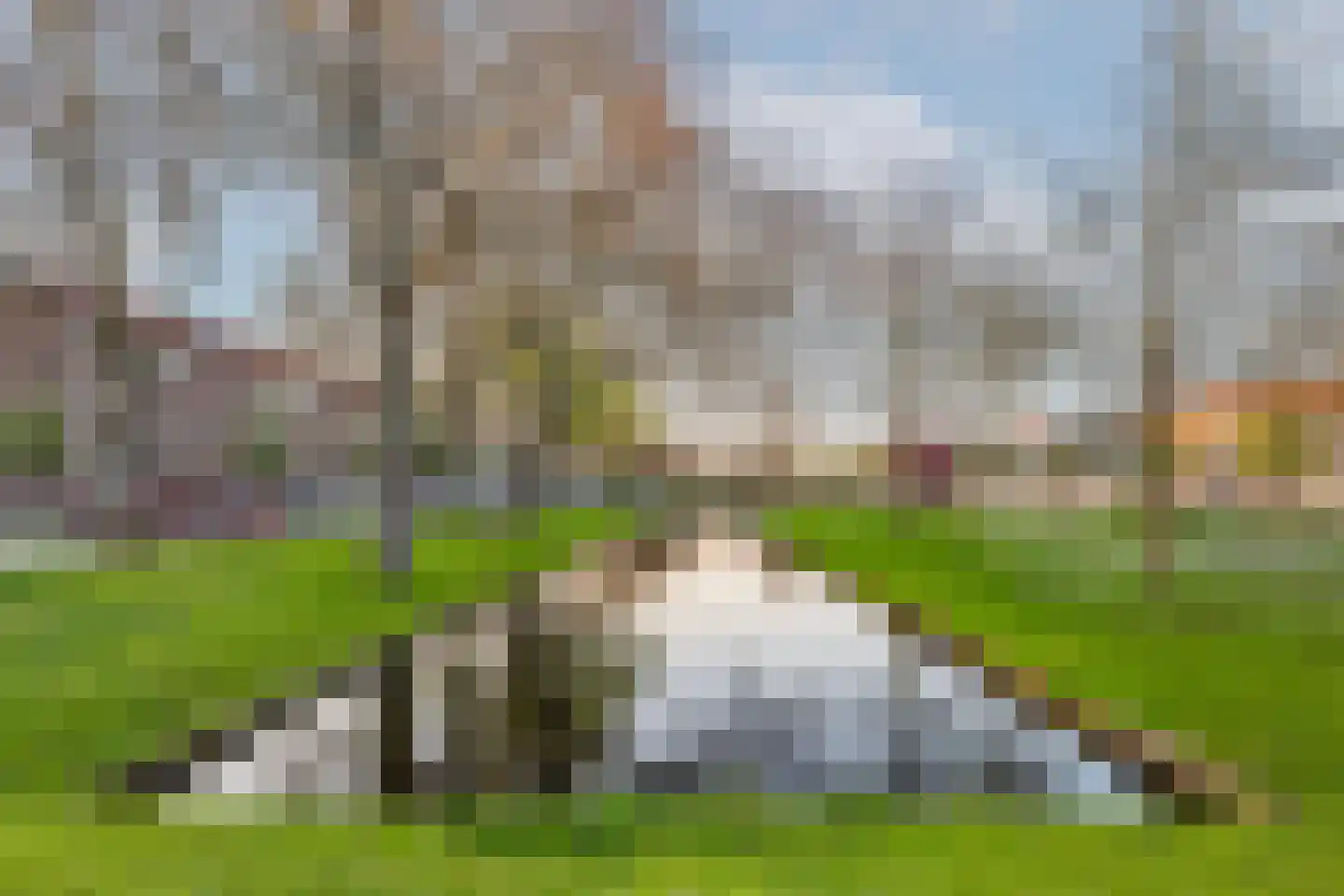 Lepelaarsingel 151 B Rotterdam thumbnail 25