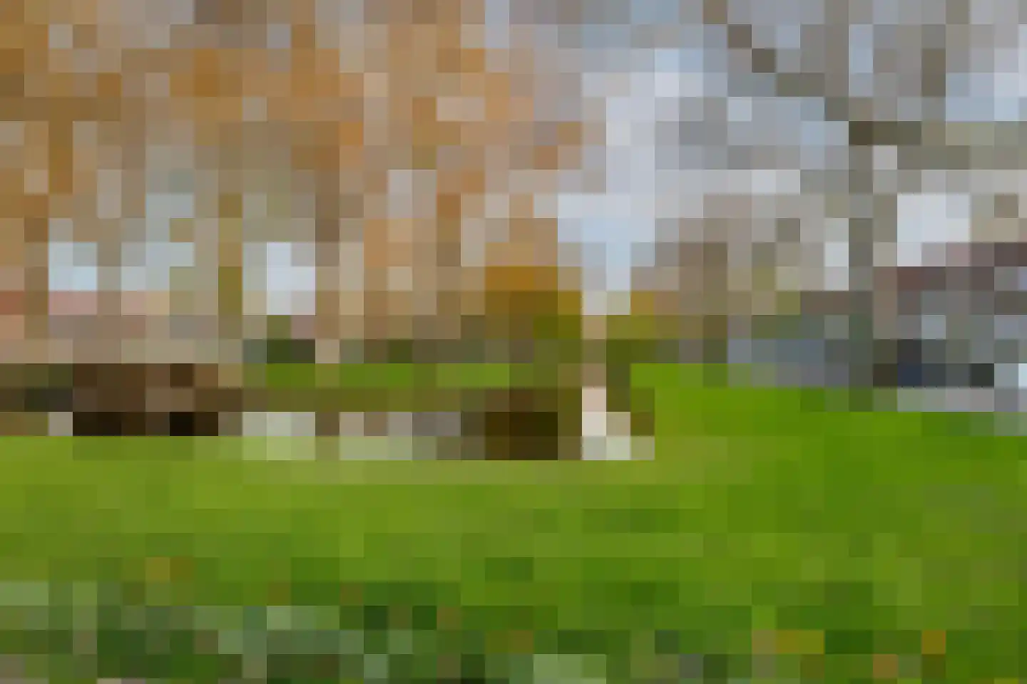 Lepelaarsingel 151 B Rotterdam thumbnail 26