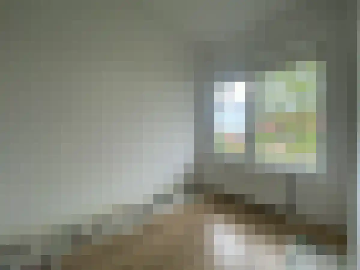 Lepelaarsingel 159 Rotterdam thumbnail 6