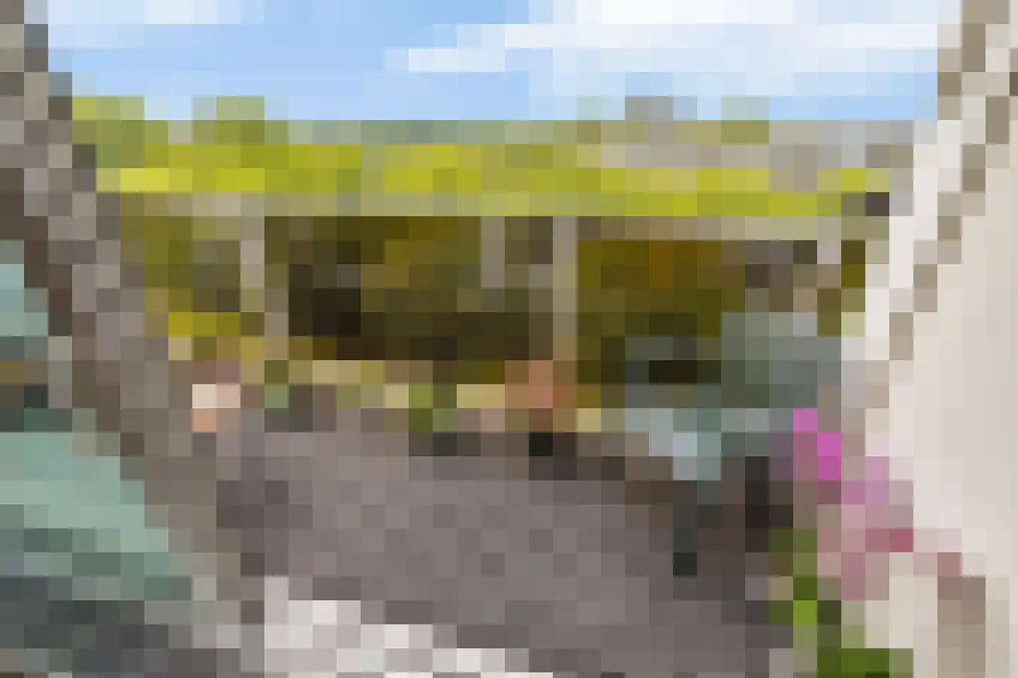 Lepelaarsingel 232 Vlaardingen thumbnail 16
