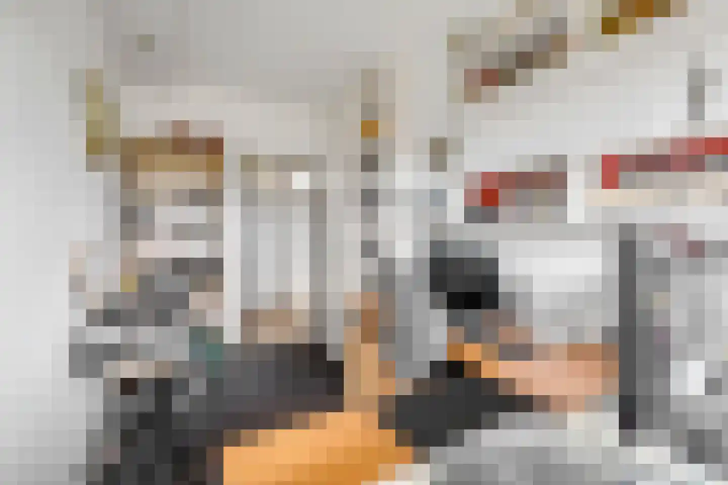 Lepelaarsingel 232 Vlaardingen thumbnail 32