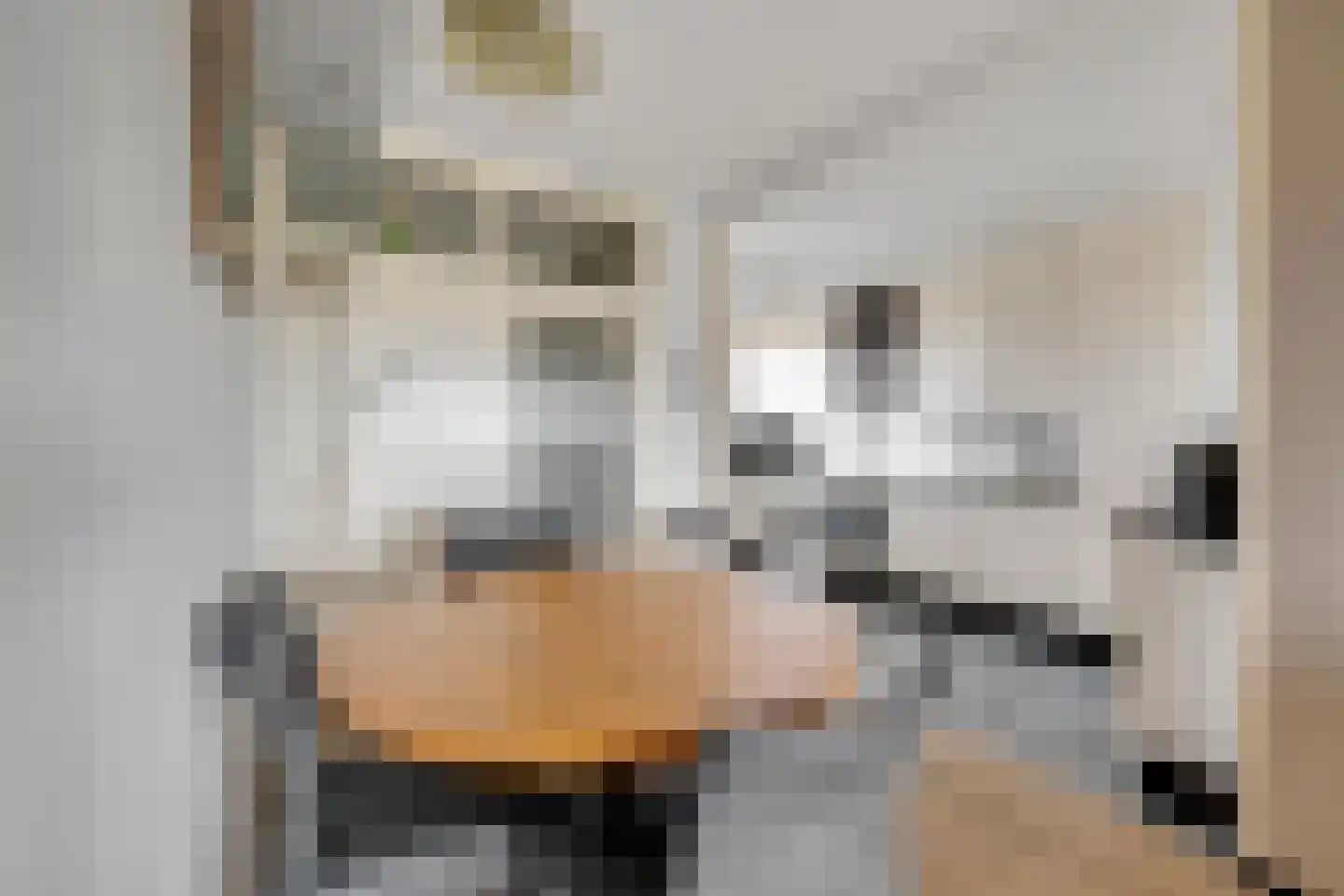 Lepelaarsingel 232 Vlaardingen thumbnail 4