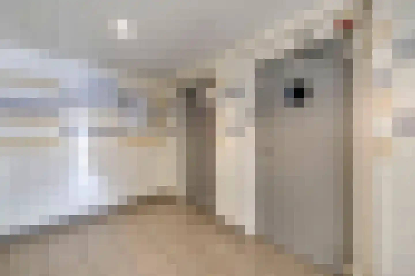 Lepelaarsingel 232 Vlaardingen thumbnail 8