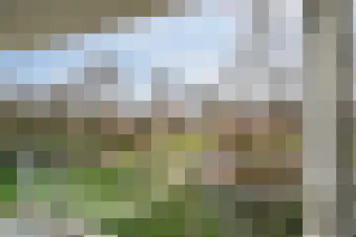 Lepelaarsingel 278 Vlaardingen thumbnail 11