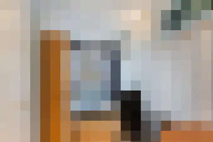 Lepelaarsingel 278 Vlaardingen thumbnail 22