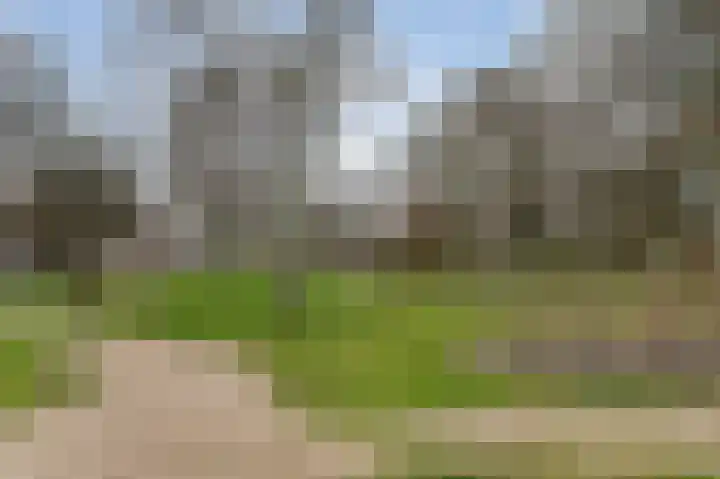 Lepelaarsingel 278 Vlaardingen thumbnail 5