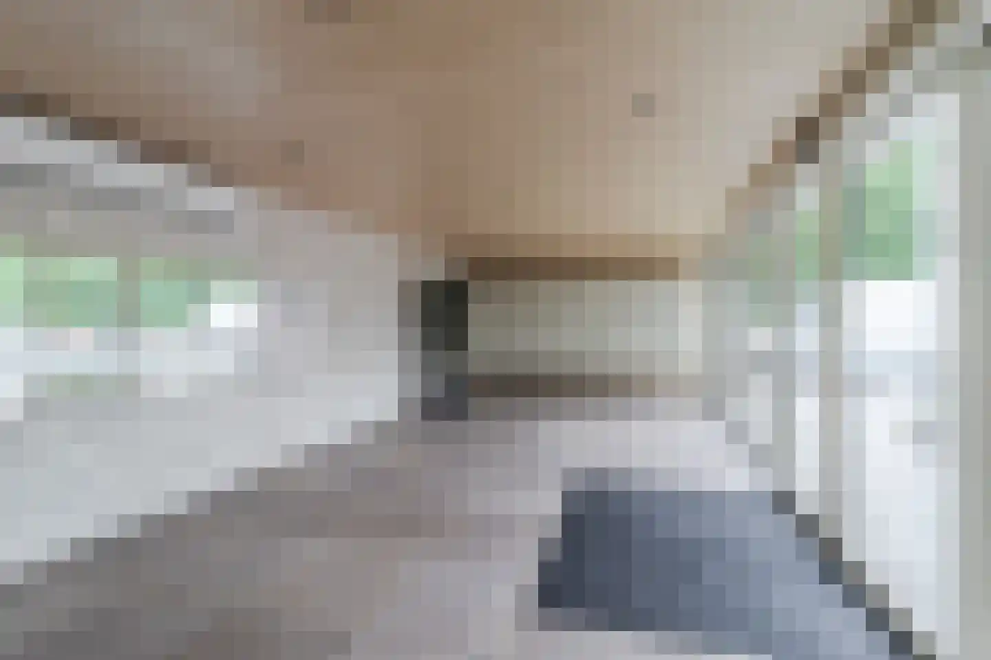 Lepelaarsingel 314 Vlaardingen thumbnail 4