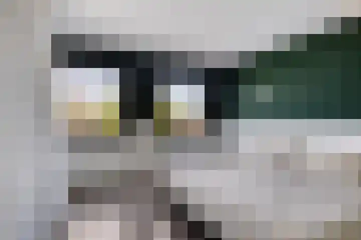 Lepelaarsingel 330 Vlaardingen thumbnail 11