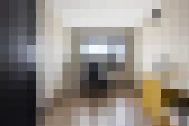 Lepelaarsingel 330 Vlaardingen thumbnail 14
