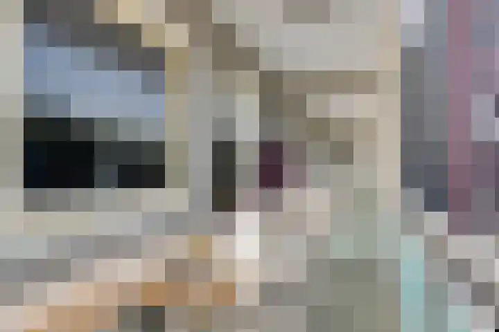 Lepelaarsingel 330 Vlaardingen thumbnail 17