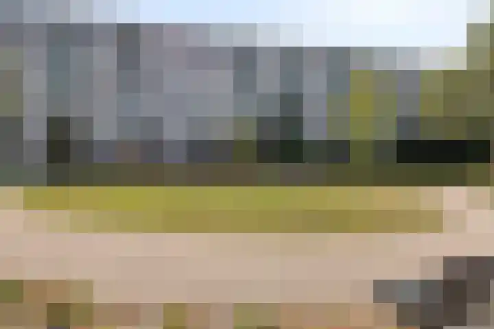 Lepelaarsingel 330 Vlaardingen thumbnail 19