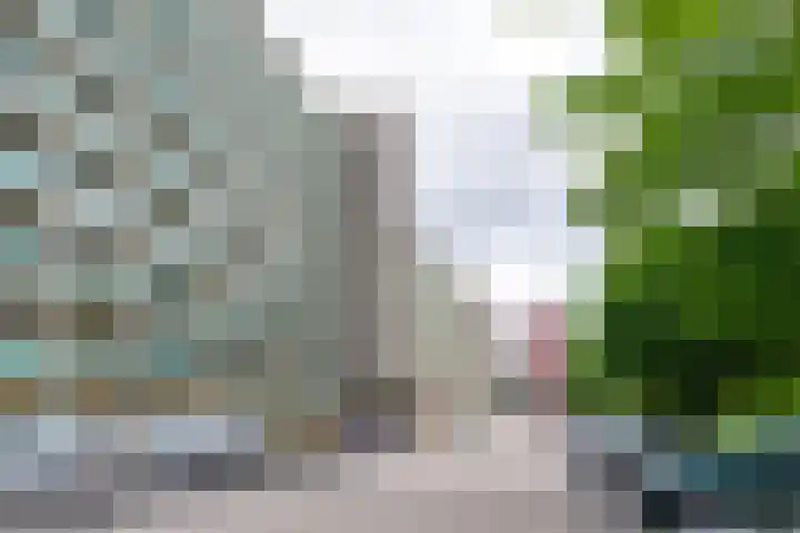 Lepelaarsingel 332 Vlaardingen thumbnail 10