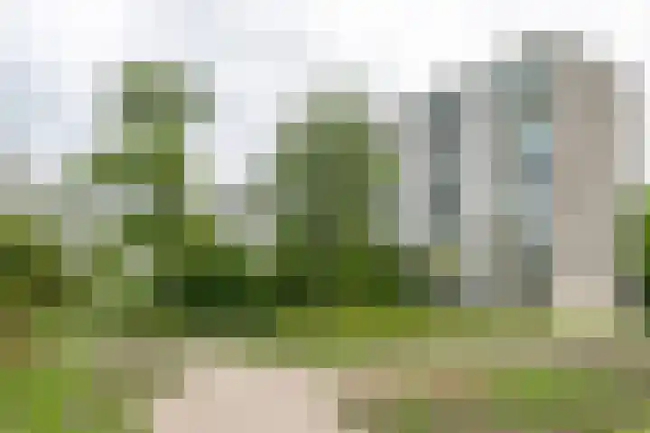 Lepelaarsingel 332 Vlaardingen thumbnail 11
