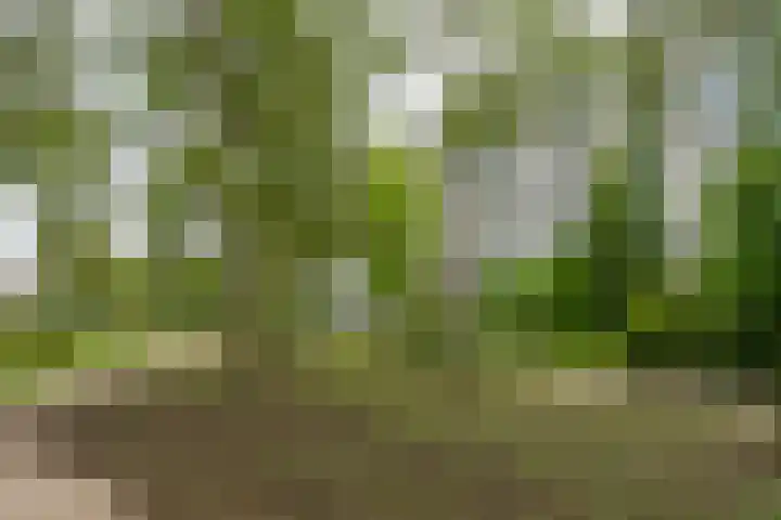 Lepelaarsingel 332 Vlaardingen thumbnail 12