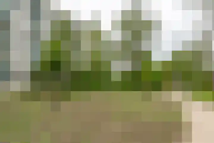 Lepelaarsingel 332 Vlaardingen thumbnail 13
