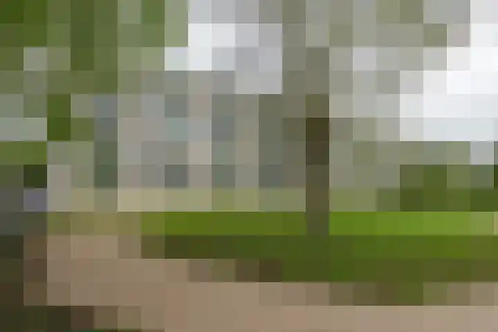 Lepelaarsingel 332 Vlaardingen thumbnail 14