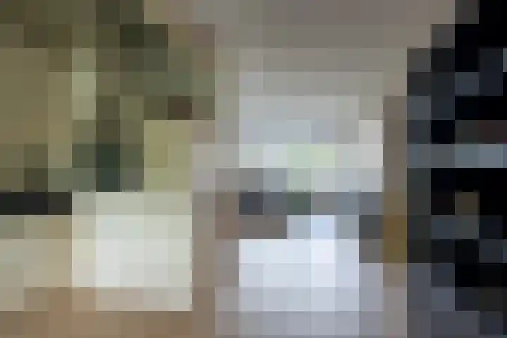 Lepelaarsingel 332 Vlaardingen thumbnail 18