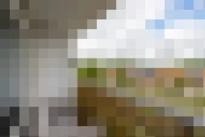 Lepelaarsingel 332 Vlaardingen thumbnail 30