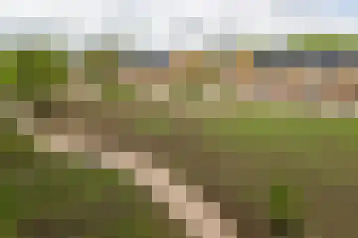 Lepelaarsingel 332 Vlaardingen thumbnail 31