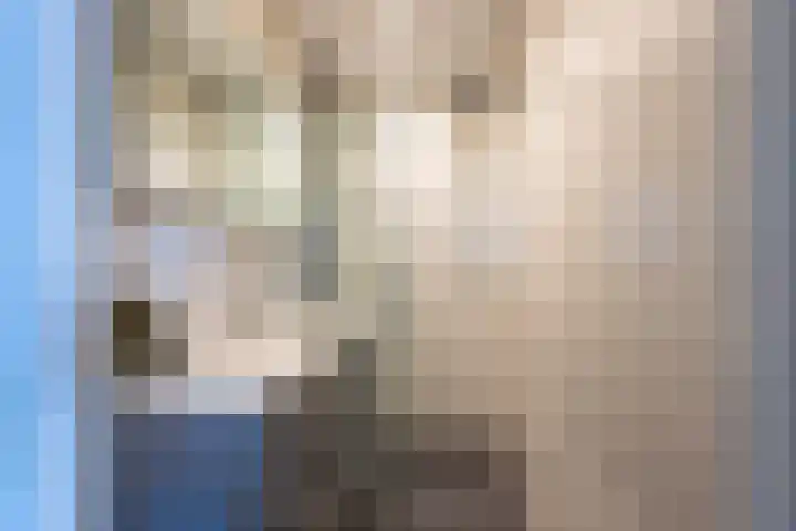 Lepelaarsingel 332 Vlaardingen thumbnail 34