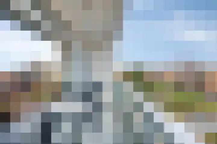 Lepelaarsingel 344 Vlaardingen thumbnail 13