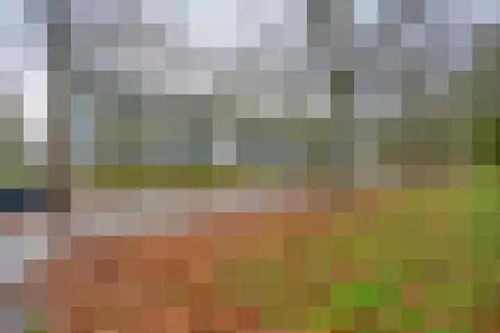 Lepelaarsingel 344 Vlaardingen thumbnail 20