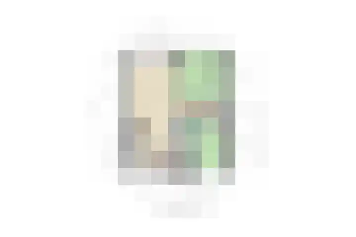 Lepelaarsingel 344 Vlaardingen thumbnail 21