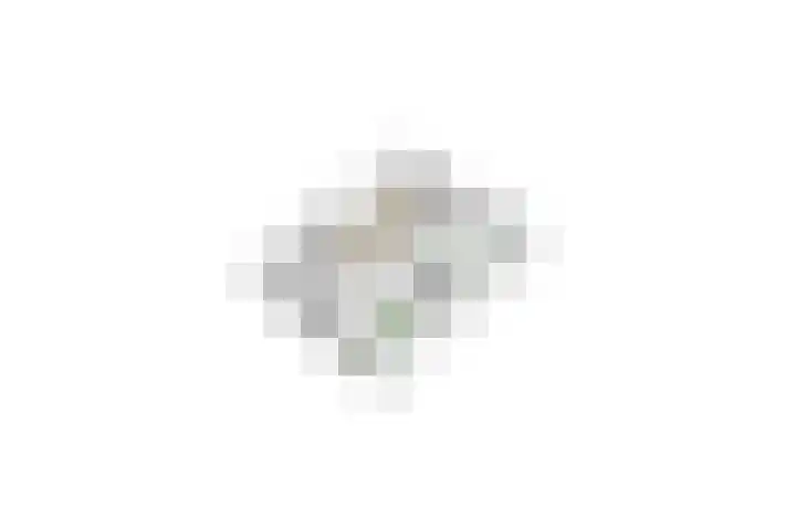 Lepelaarsingel 344 Vlaardingen thumbnail 23