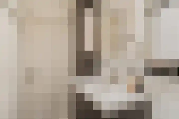 Lepelaarsingel 398 Vlaardingen thumbnail 19