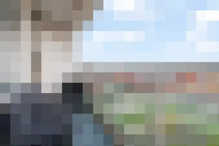 Lepelaarsingel 398 Vlaardingen thumbnail 22