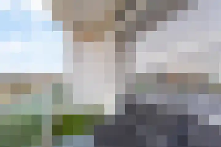 Lepelaarsingel 398 Vlaardingen thumbnail 23
