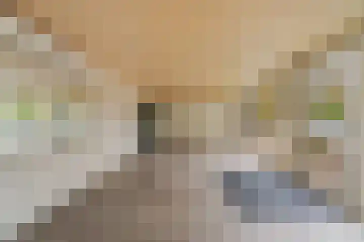 Lepelaarsingel 398 Vlaardingen thumbnail 26