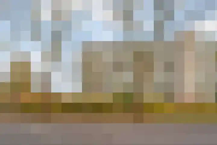 Lepelaarsingel 398 Vlaardingen thumbnail 30