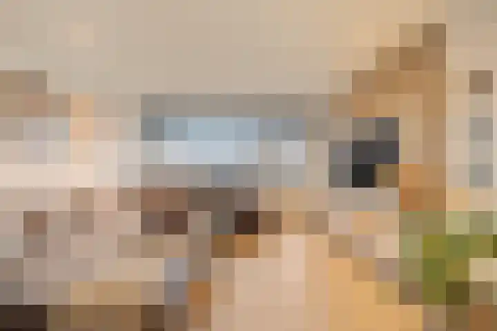 Lepelaarsingel 398 Vlaardingen thumbnail 5