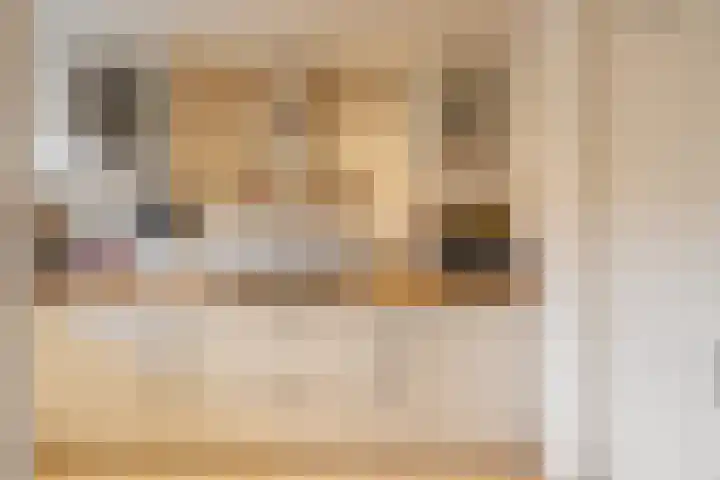 Lepelaarsingel 398 Vlaardingen thumbnail 8