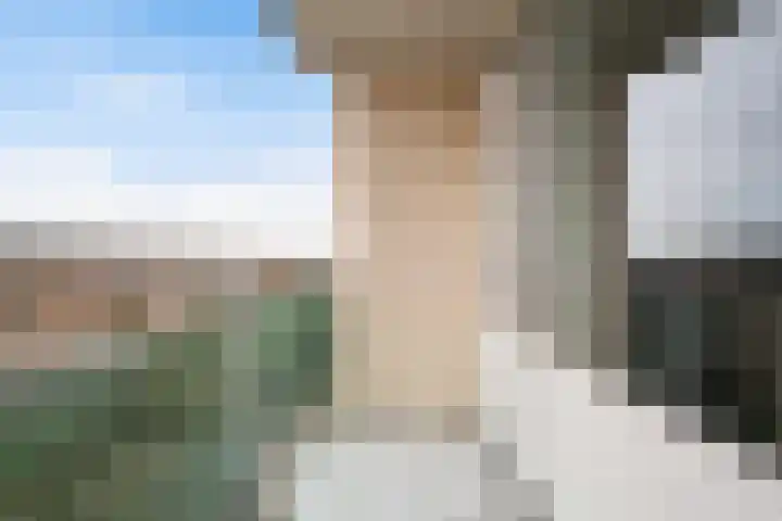 Lepelaarsingel 434 Vlaardingen thumbnail 19