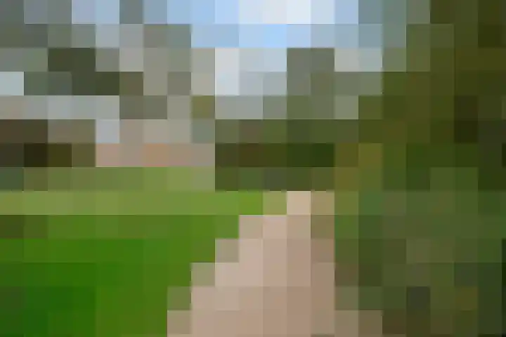 Lepelaarsingel 434 Vlaardingen thumbnail 31