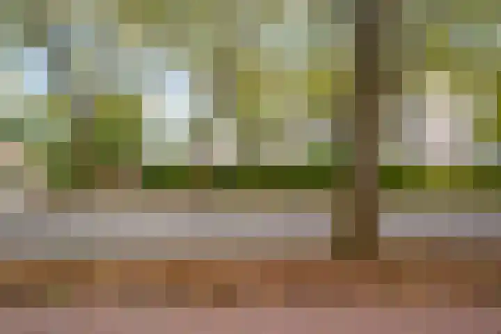 Lepelaarsingel 434 Vlaardingen thumbnail 32