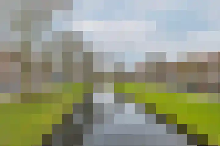 Lepelaarsingel 58 B Rotterdam thumbnail 4