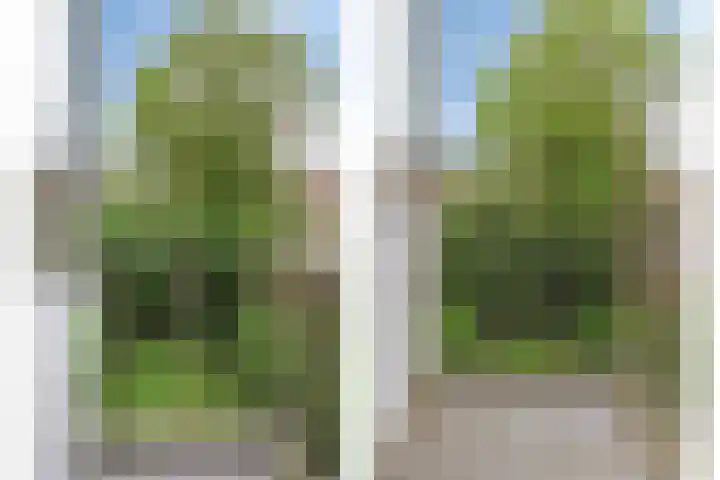 Lepelaarsingel 60 A Rotterdam thumbnail 13