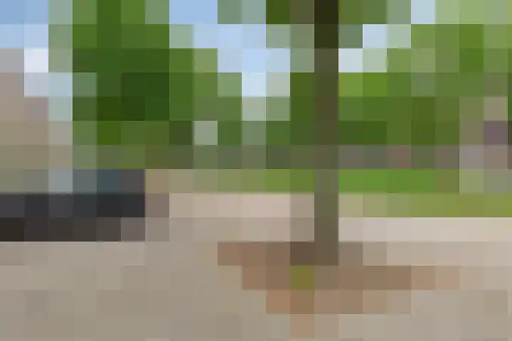 Lepelaarsingel 60 A Rotterdam thumbnail 19