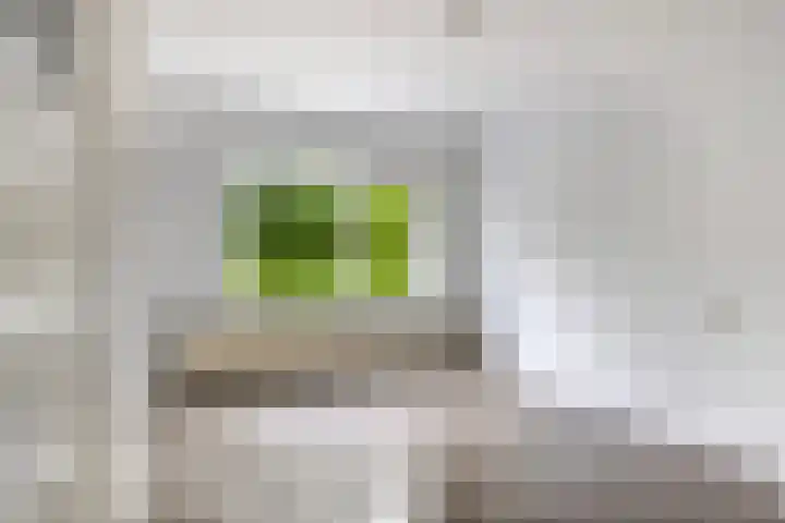 Lepelaarsingel 60 A Rotterdam thumbnail 4