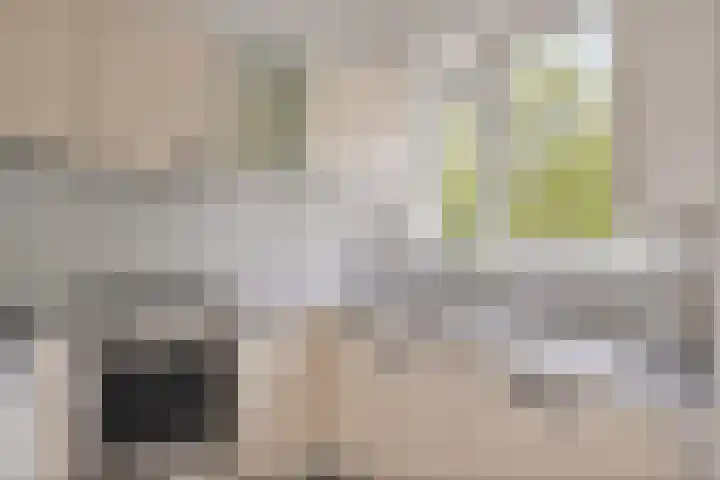 Lepelaarsingel 60 A Rotterdam thumbnail 7